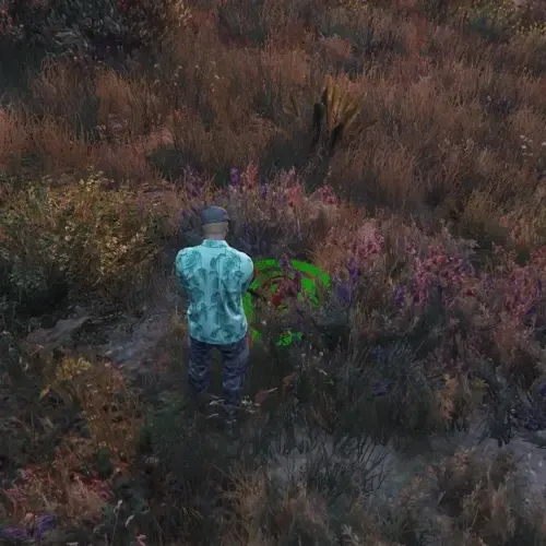 Red40 Metaldetecting gameplay with a metal detector